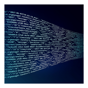 Data Management & Analytics Outsourced IT Services